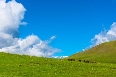 Similar image 13096886