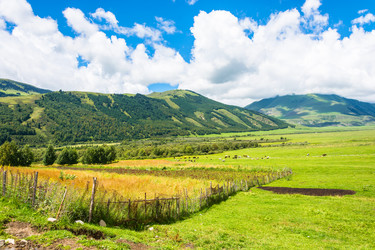 Similar image 13096888