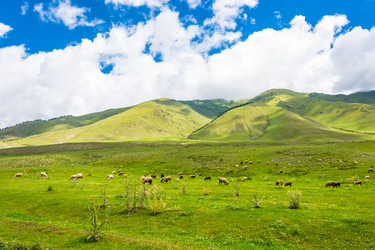 Similar image 13096889