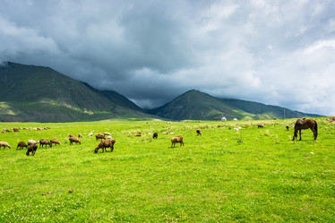 Similar image 13096890