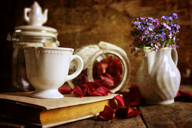 Similar image 13080011