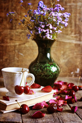 Similar image 13080088