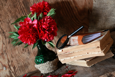 Similar image 13079728