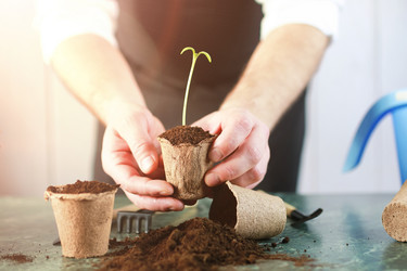 Similar image 13079790