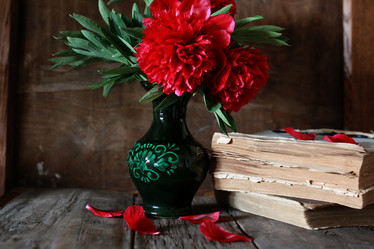 Similar image 13079810