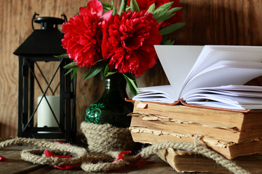 Similar image 13079890