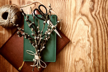 Similar image 13080032