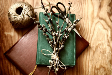 Similar image 13080050