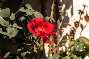 Similar image 13082664