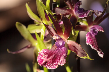 Similar image 13082665