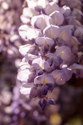 Similar image 13099654