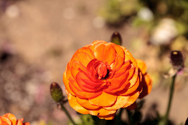 Similar image 13099656