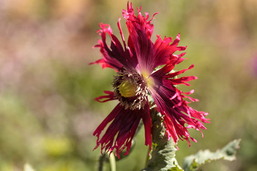 Similar image 13105583