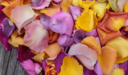 Similar image 13105609