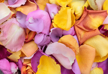 Similar image 13105610