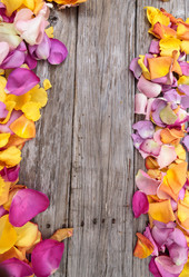 Similar image 13105626