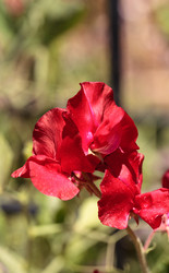 Similar image 13105667