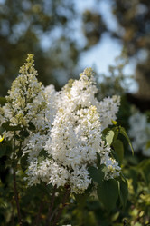 Similar image 13105742