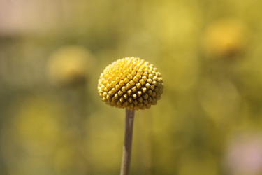 Similar image 13105743