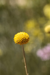 Similar image 13105744