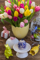 Similar image 13088653