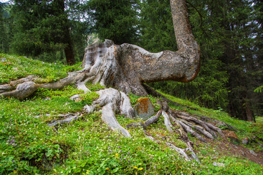 Similar image 13096899