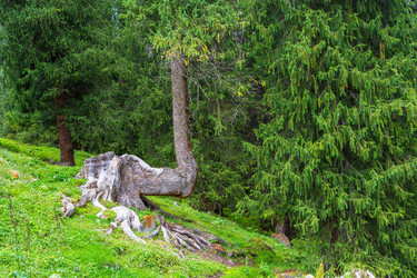 Similar image 13096900