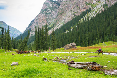 Similar image 13096903