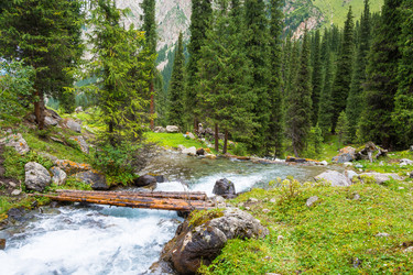 Similar image 13096914