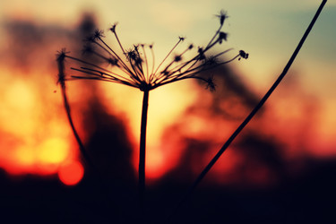 Similar image 13080112