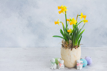 Similar image 13088433