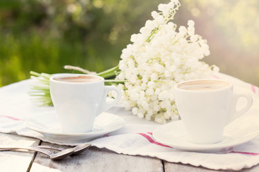 Similar image 13072035