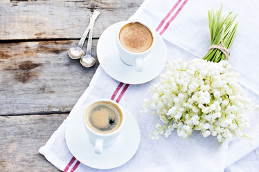 Similar image 13066401