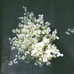 Similar image 13066439