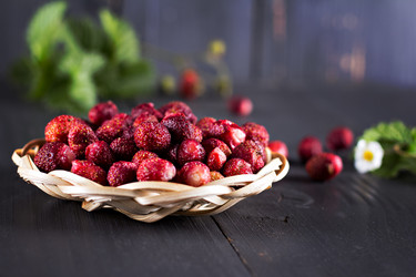 Similar image 13066461