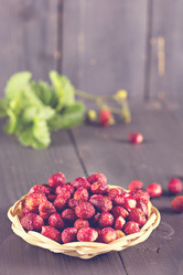 Similar image 13066462