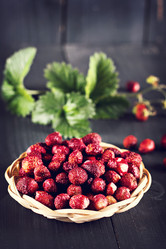 Similar image 13066480