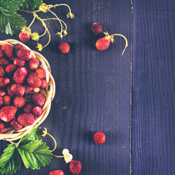 Similar image 13066481