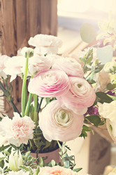 Similar image 13066482