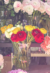 Similar image 13066541