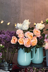 Similar image 13066581