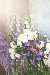 Similar image 13066582