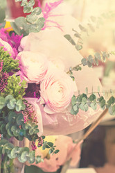 Similar image 13066602