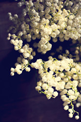 Similar image 13066701