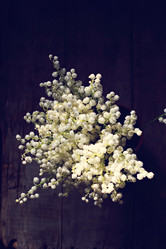 Similar image 13066702