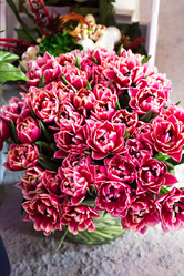 Similar image 13066762