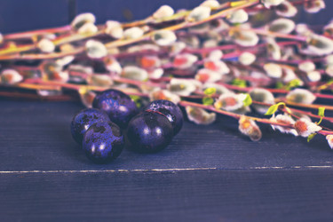 Similar image 13066842