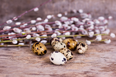 Similar image 13066862