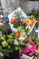 Similar image 13066964