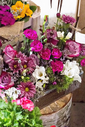 Similar image 13066982